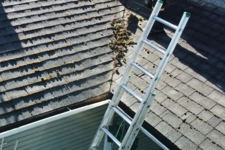 Effectively remove moss roof vancouver