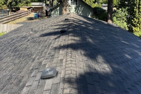 Professional roof cleaning services transforming homes exterior