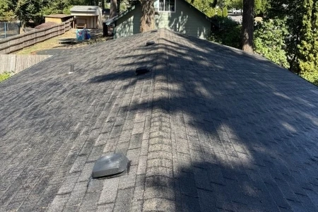 Professional Roof Cleaning Services: Transforming Your Home's Exterior