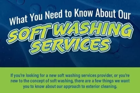 Infographic: What You Need To Know About Our Soft Washing Services