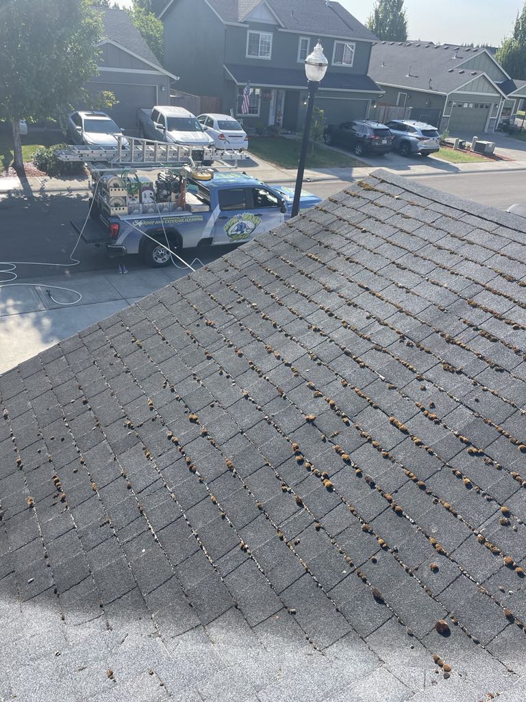 Another Roof Cleaning in Vancouver, Washington