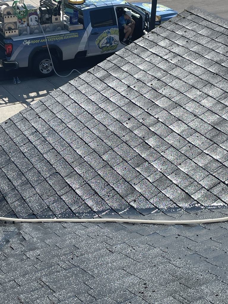 eco friendly roof cleaning