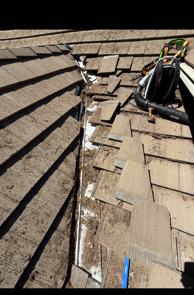 Cement Tile Roof Cleaning Done Right – Beyond the Surface in Vancouver, WA
