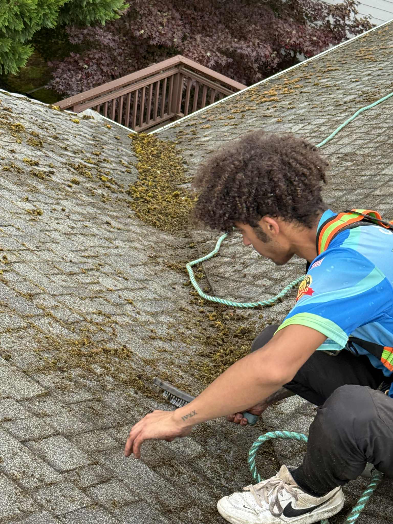 Roof Cleaning in Vancouver: Why Moss Removal Before Winter Is Critical