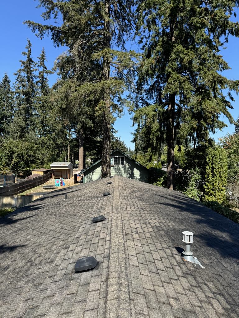 Roof Cleaning in Vancouver: Wow Wash 360 Revitalizes and Protects Your Home