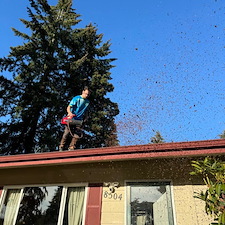 Roof-Cleaning-in-Vancouver-Wow-Wash-360-Revitalizes-and-Protects-Your-Home 7