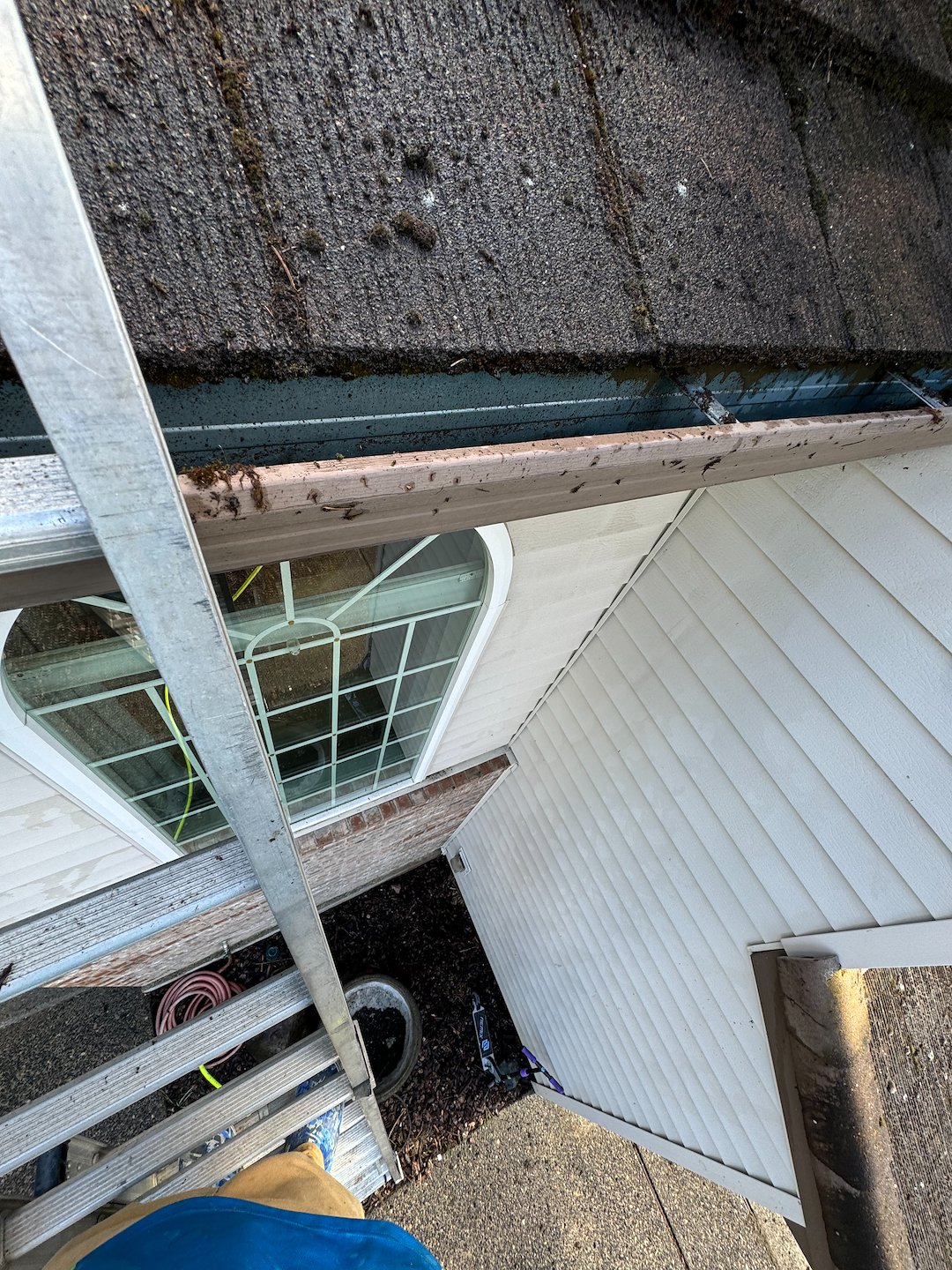 Wow Wash 360 Keeps Vancouver Homes Safe with Expert Gutter Cleaning