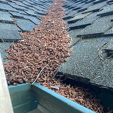 Wow-Wash-360-Restores-Vancouver-Home-with-Expert-Roof-and-Gutter-Cleaning 1