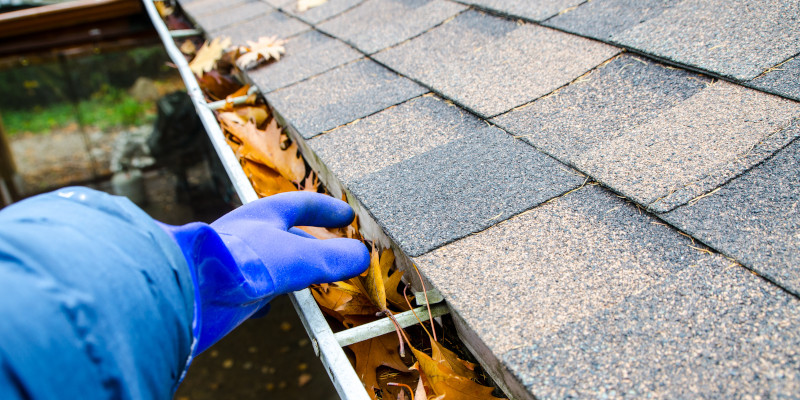 Gutter cleaning service vancouver