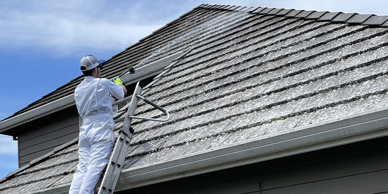 Roof washing service in Vancouver